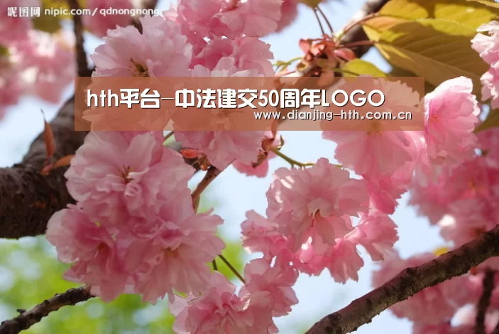 hth平台-中法建交50周年LOGO(图2)