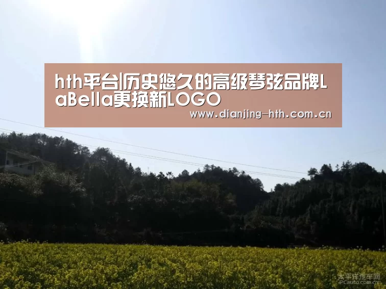 hth平台|历史悠久的高级琴弦品牌LaBella更换新LOGO(图3) hth平台