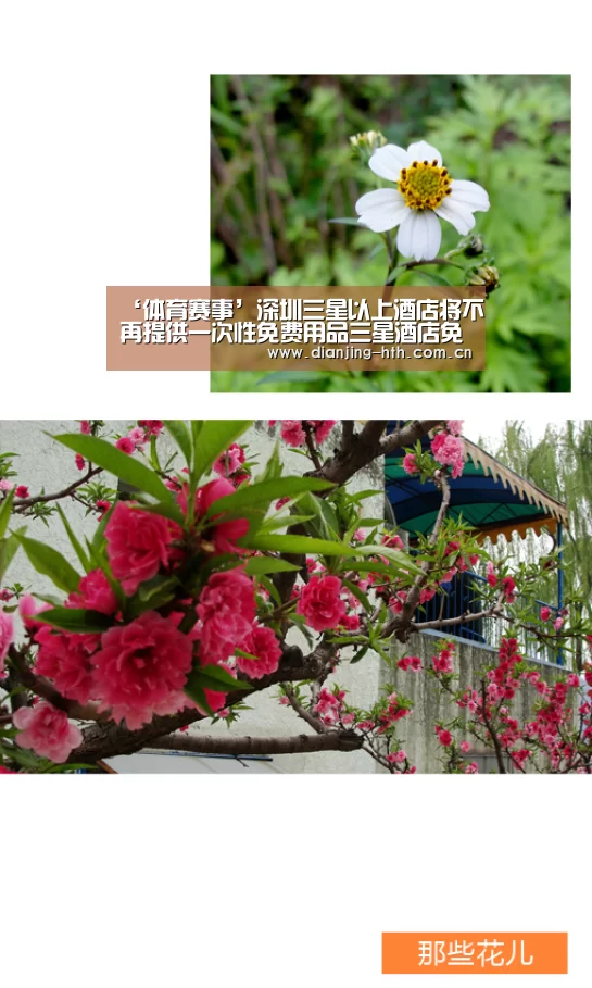 ‘体育赛事’深圳三星以上酒店将不再提供一次性免费用品三星酒店免费用品市城管局物业管理(图3) 华体会官网